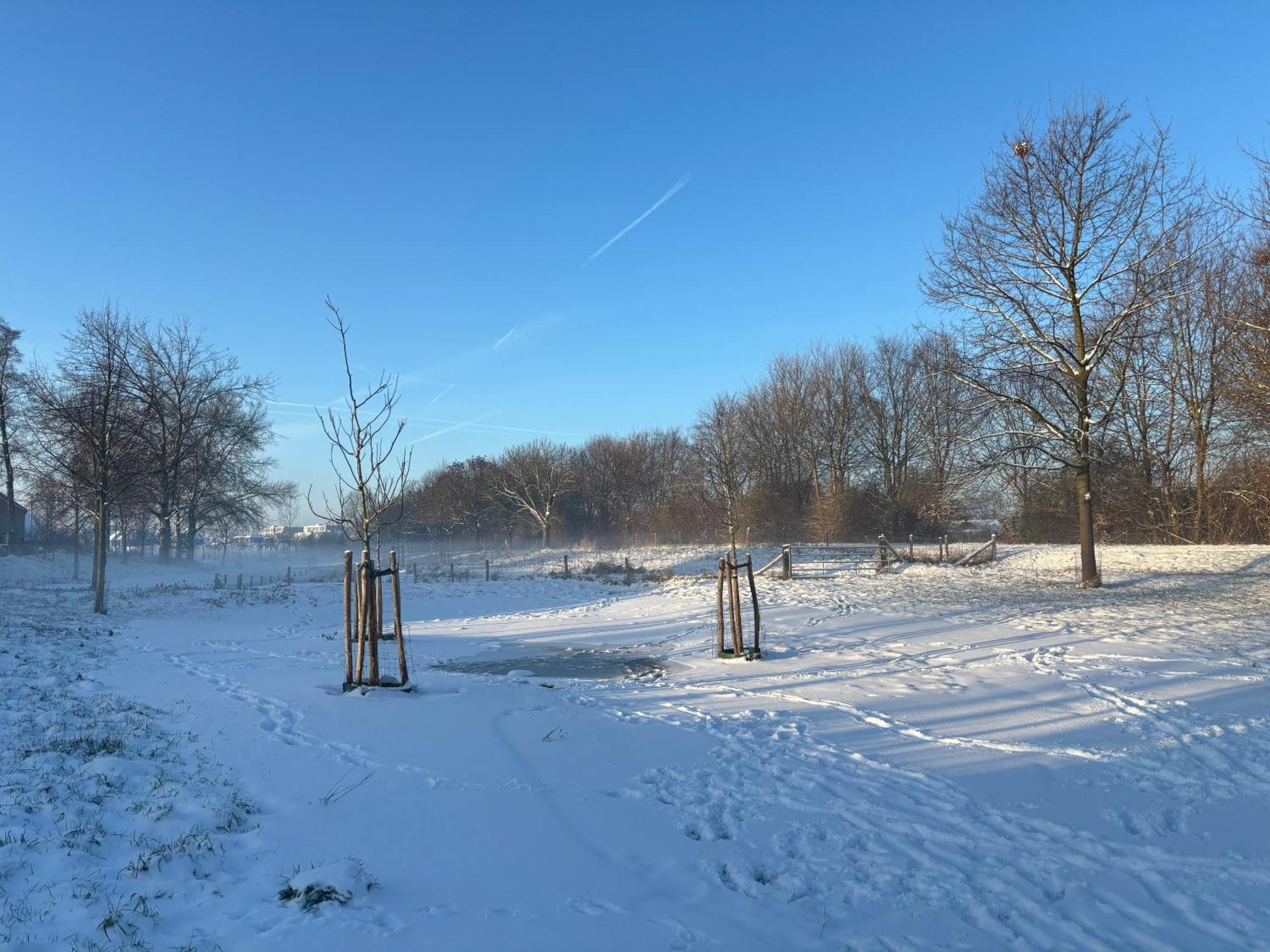 לינה וארוחת בוקר Herten Atalanta-Wellness Roermond 'De Wethouder' מראה חיצוני תמונה
